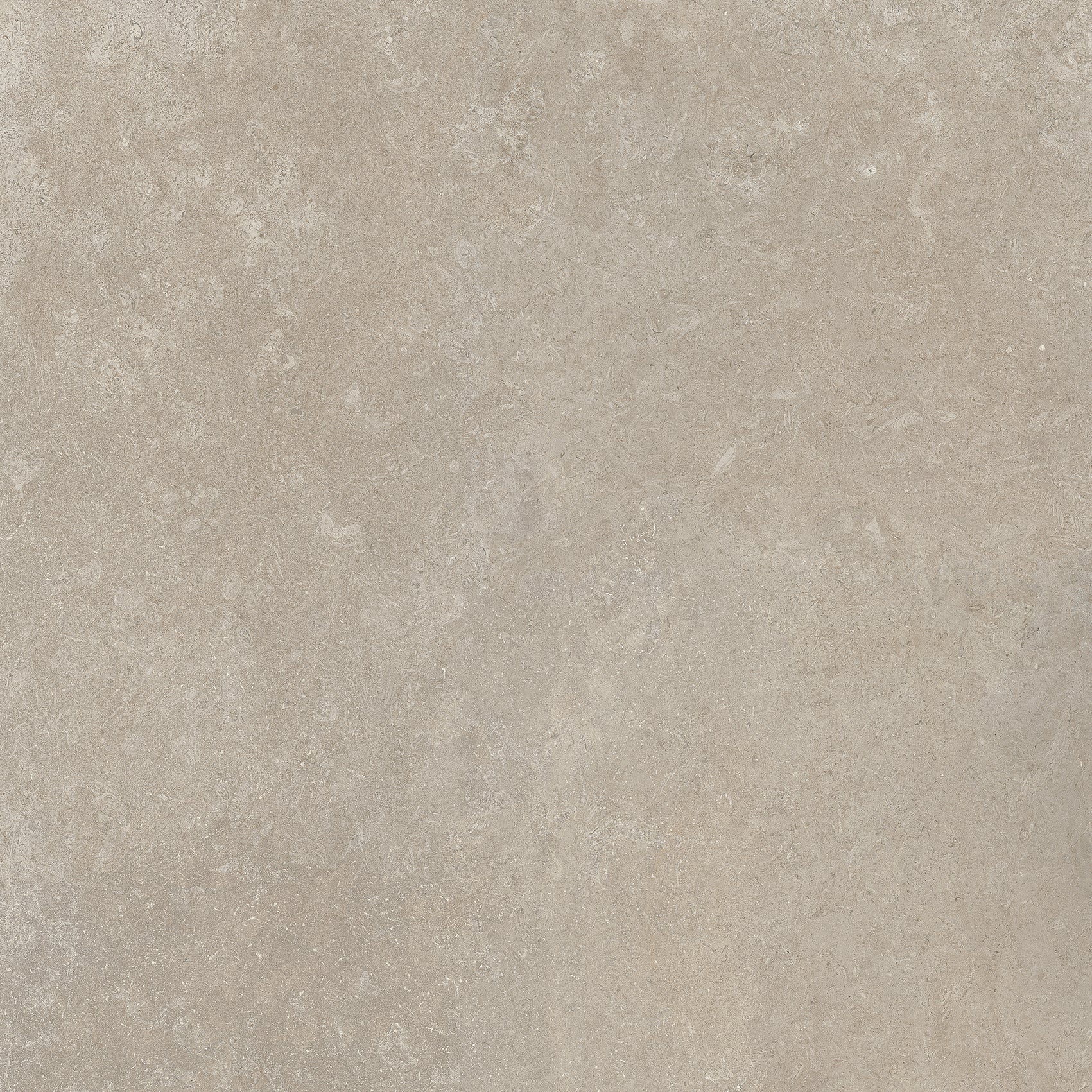Pietra Porcelain Tile in Matte Finish