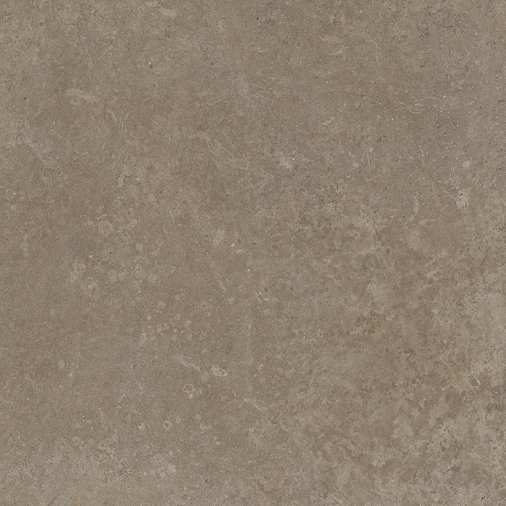 Tortora Porcelain Tile in Matte Finish