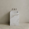 Quattro Handcrafted Stone Pedestal Sink